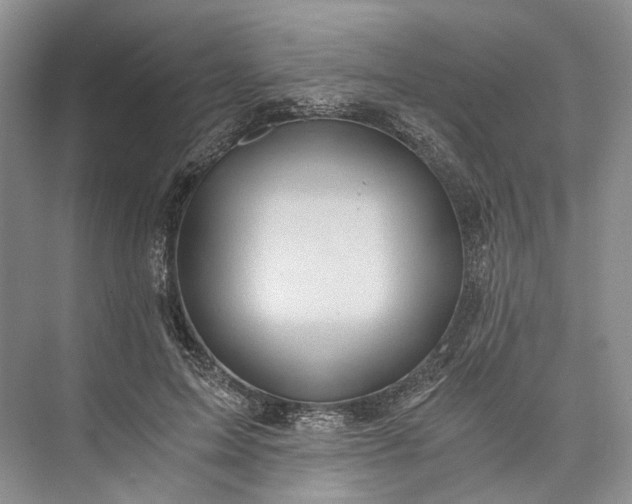 X0000073490599200608140844