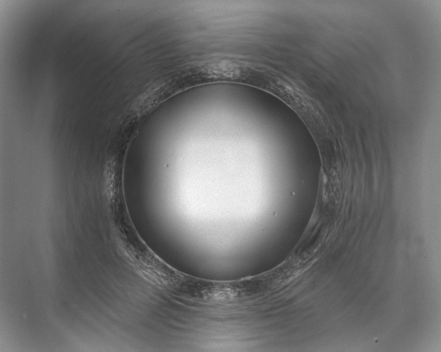 X0000073490600200608140844