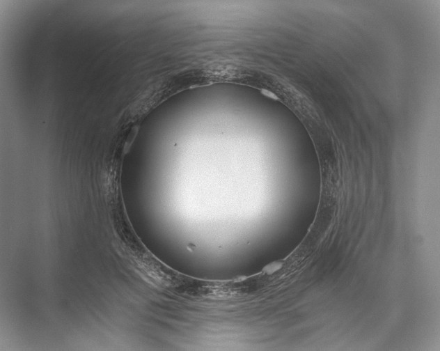 X0000073490601200608140844