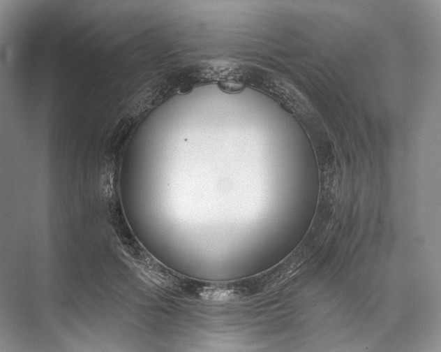 X0000073490602200608140844