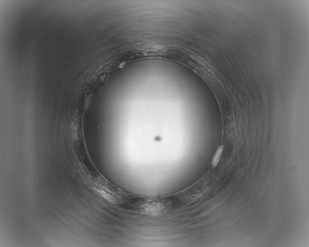 X0000073490604200608140844