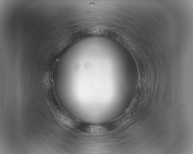 X0000073490605200608140844