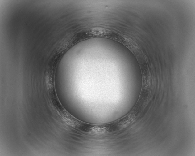 X0000073490606200608140844