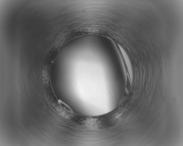 X0000073490609200608140844