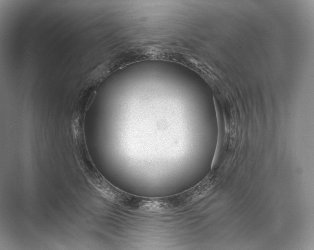 X0000073490611200608140844