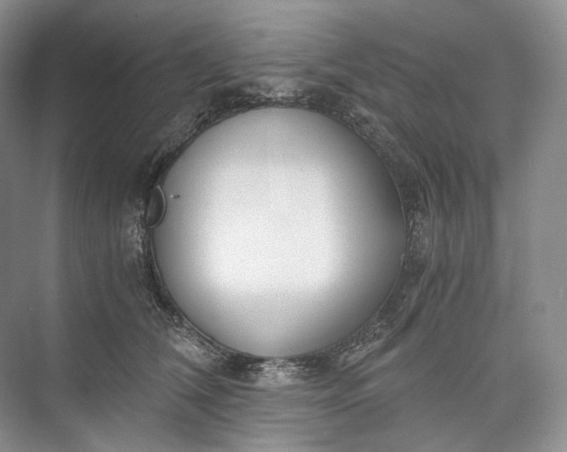 X0000073490612200608140844