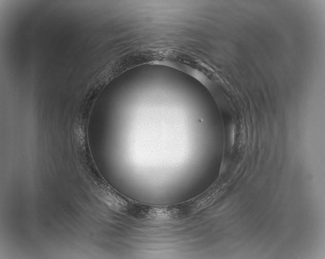 X0000073490613200608140844