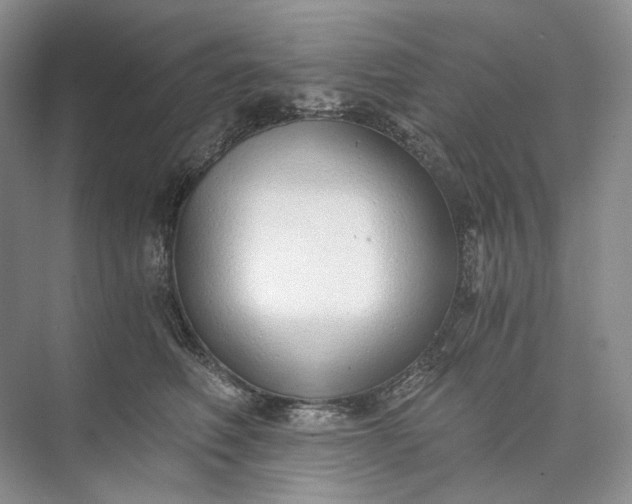 X0000073490614200608140844