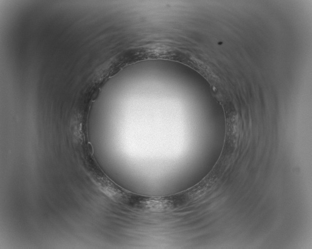 X0000073490615200608140844