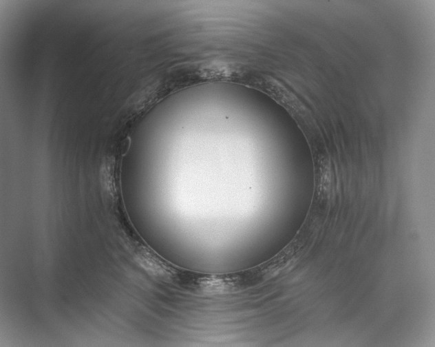 X0000073490616200608140844