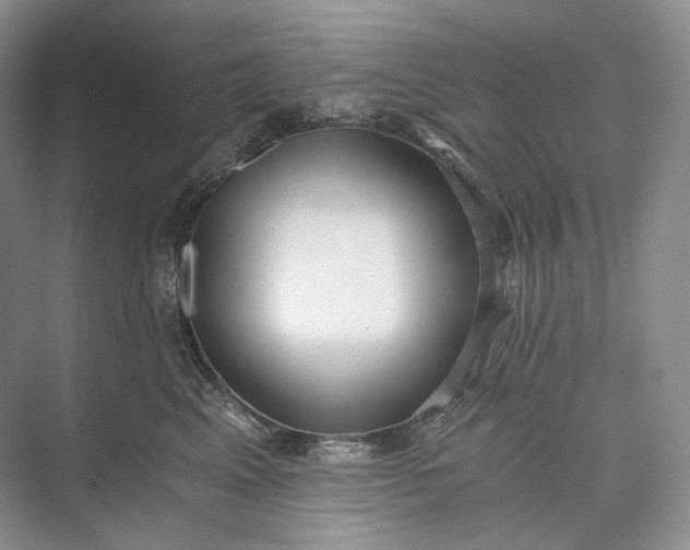 X0000073490617200608140844