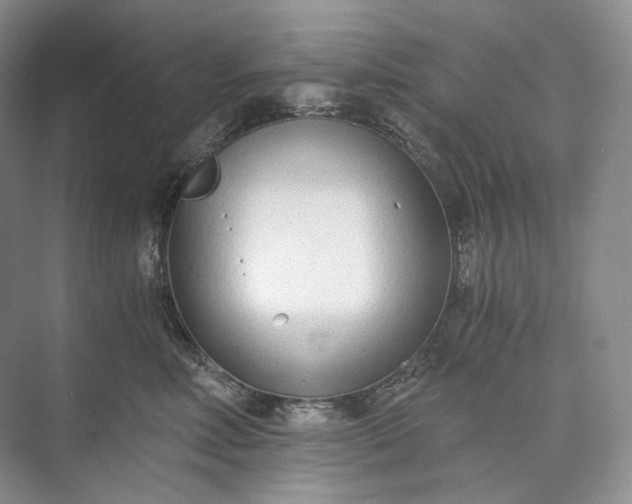 X0000073490618200608140844