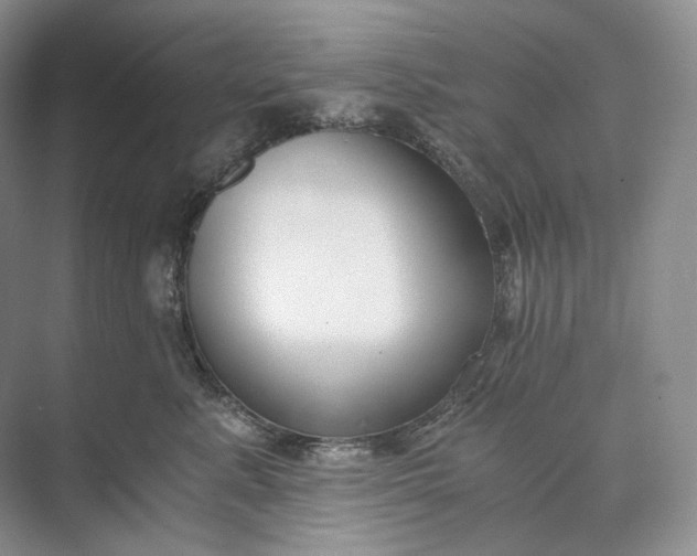 X0000073490619200608140844