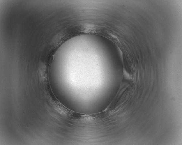 X0000073490620200608140844