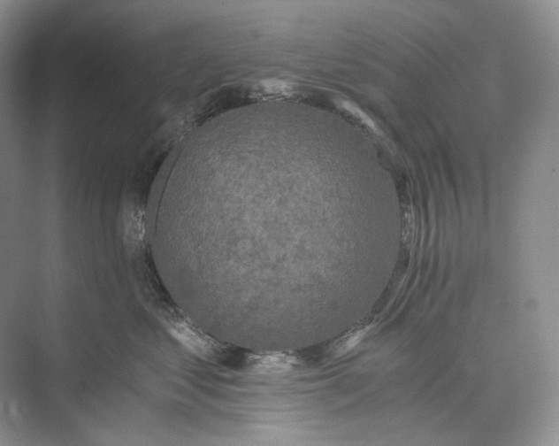 X0000073490621200608140844