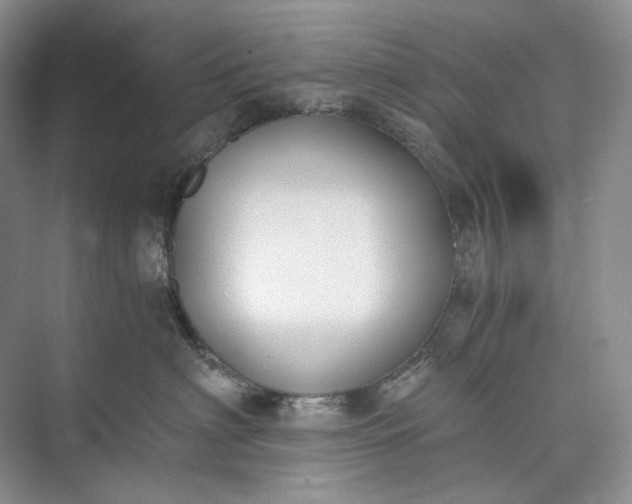 X0000073490622200608140844