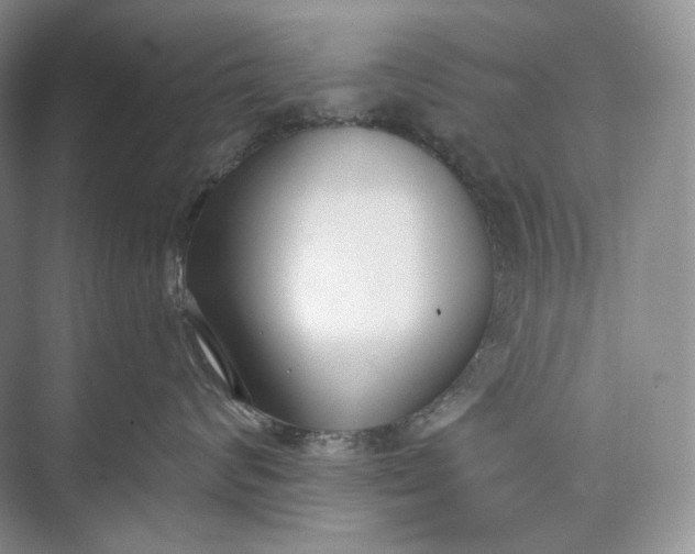 X0000073490624200608140844