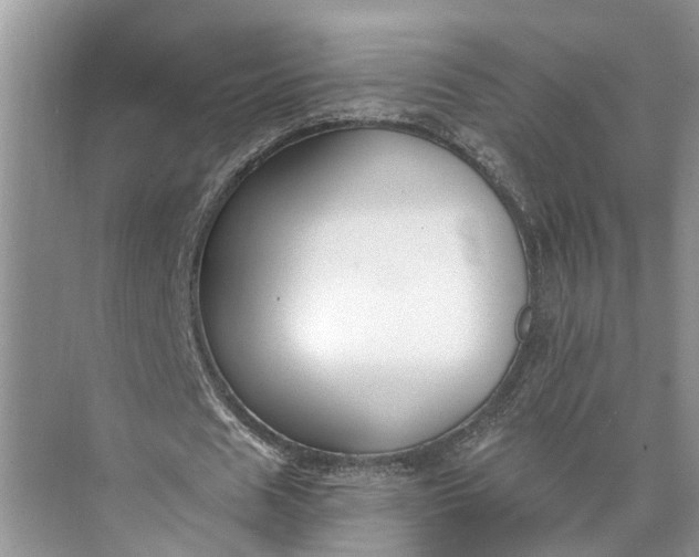 X0000073490625200608140843