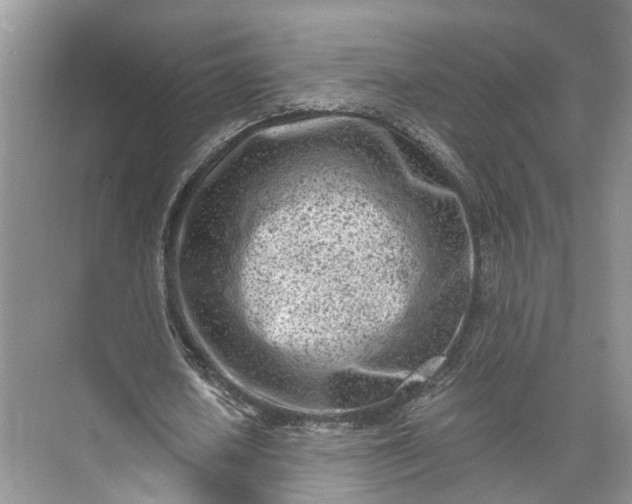 X0000073490626200608140843