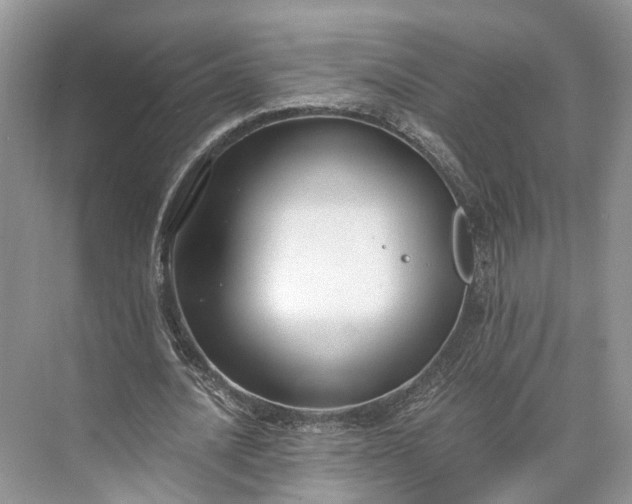 X0000073490628200608140843