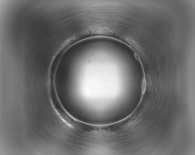 X0000073490630200608140843