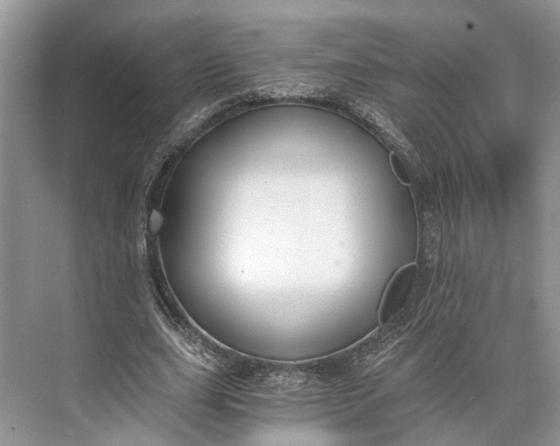 X0000073490631200608140843