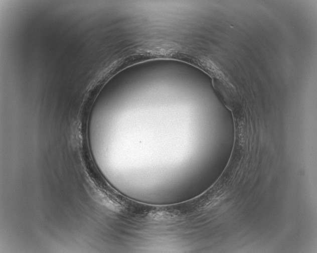 X0000073490634200608140843