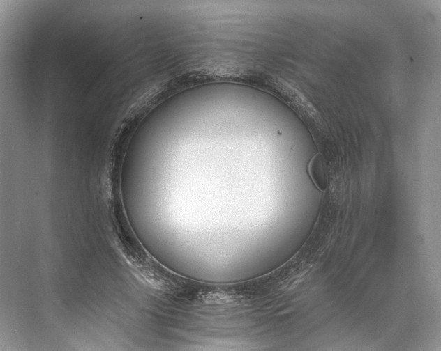 X0000073490635200608140843