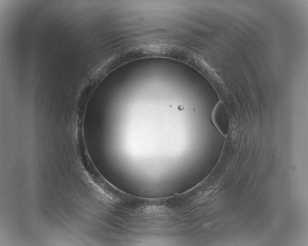 X0000073490637200608140843