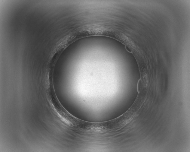 X0000073490638200608140843