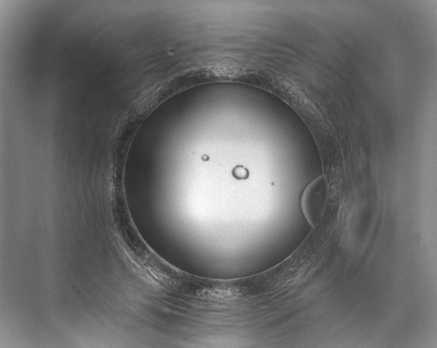 X0000073490639200608140843