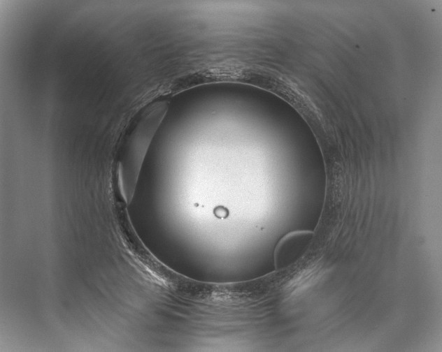 X0000073490641200608140843