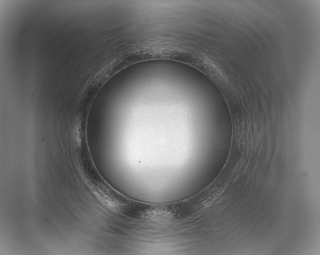 X0000073490644200608140843