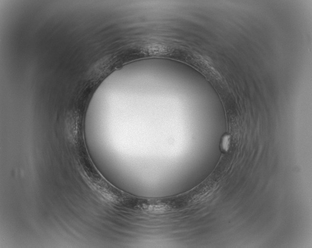 X0000073490645200608140843