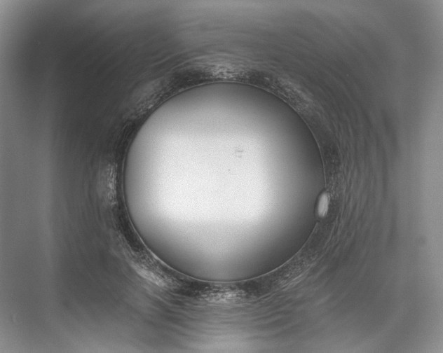 X0000073490646200608140843