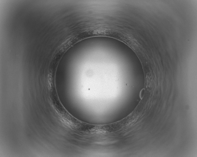 X0000073490648200608140843