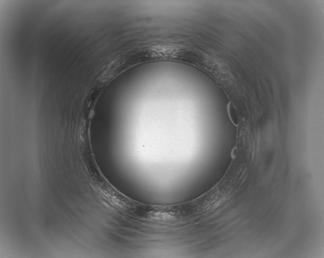 X0000073490649200608140843