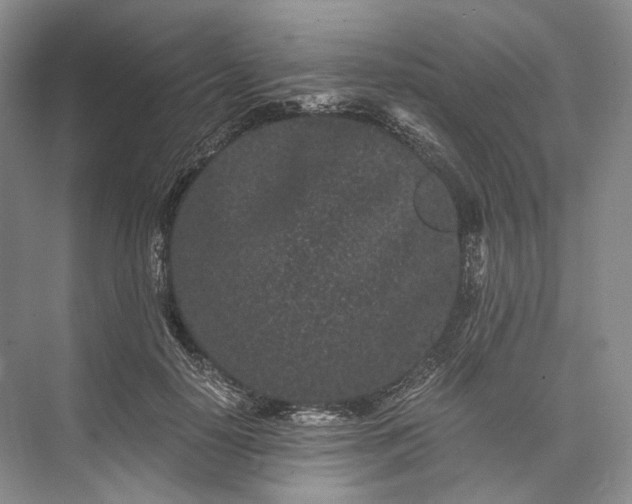 X0000073490650200608140843