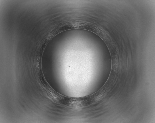 X0000073490653200608140843