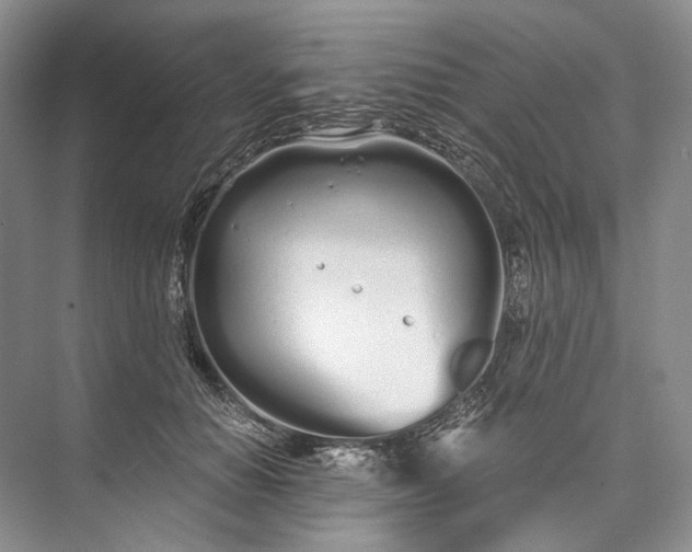 X0000073490654200608140843