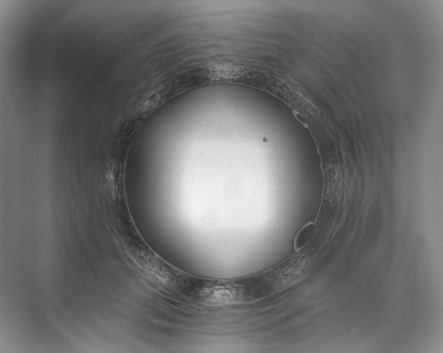 X0000073490655200608140843