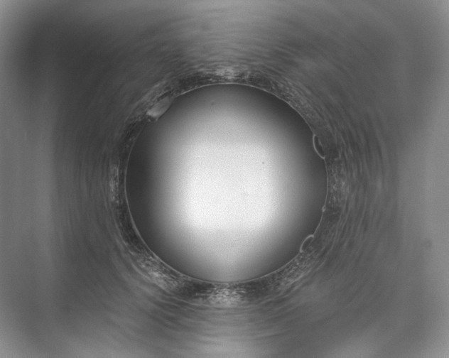 X0000073490656200608140843