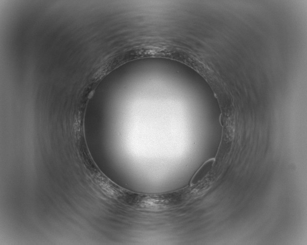 X0000073490657200608140843