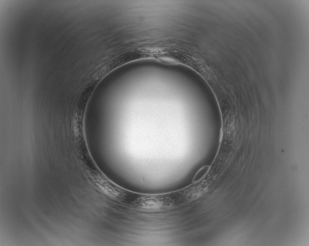 X0000073490658200608140843