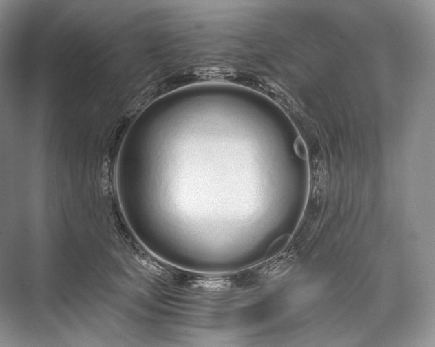 X0000073490659200608140843