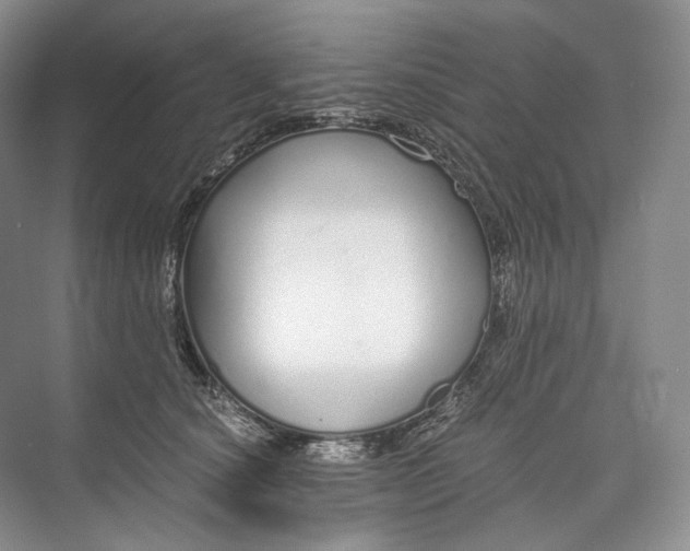 X0000073490660200608140843