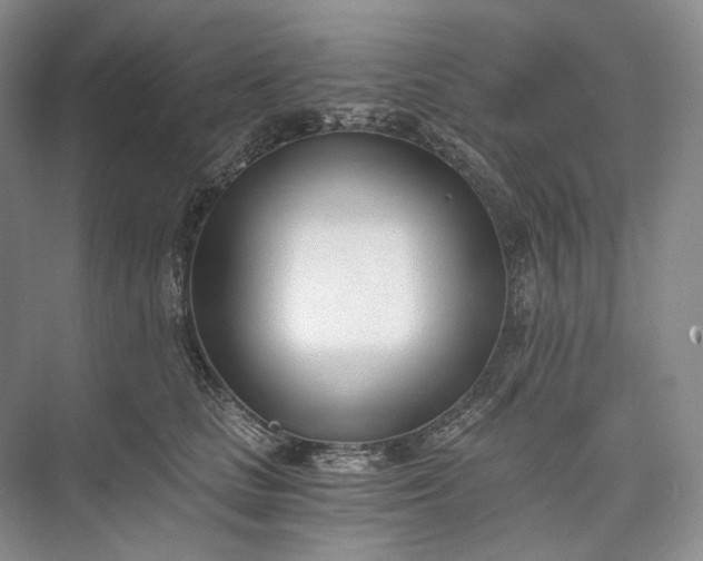 X0000073490661200608140843