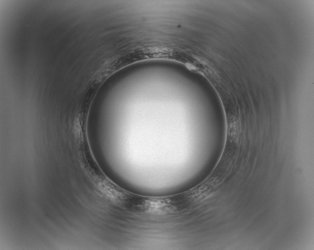 X0000073490662200608140843