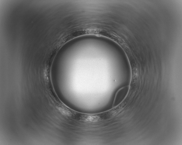 X0000073490663200608140843