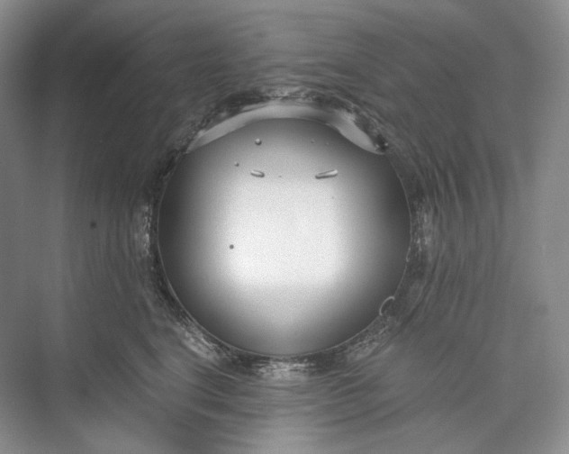 X0000073490664200608140843